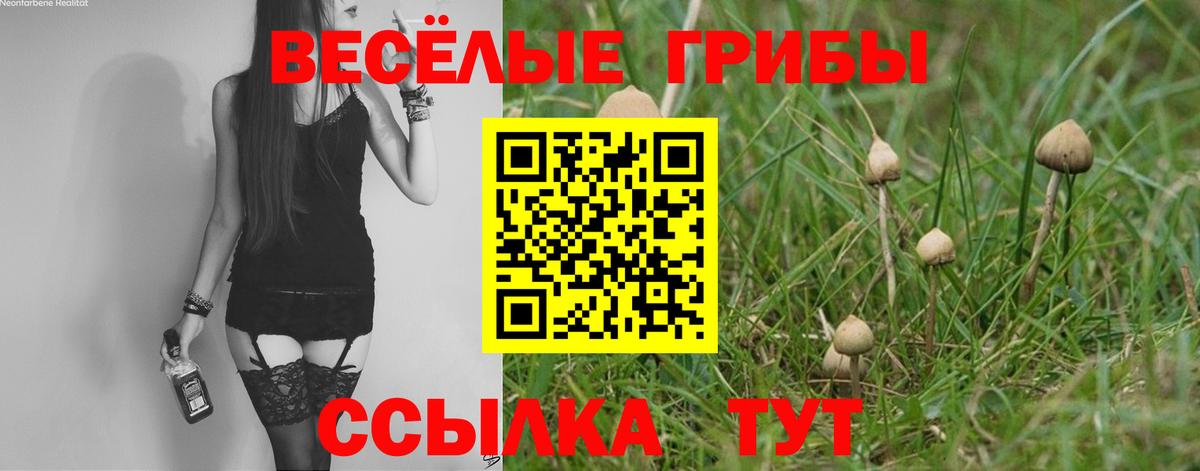 Саянск  Галлюциногенные грибы прущие грибы  Вход с VPN  Галлюциногенные грибы GOLDEN TEACHER 